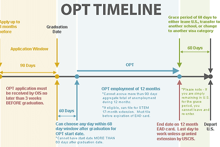 OPT (Optional Practical Training) 신청 방법/시기 총정리
