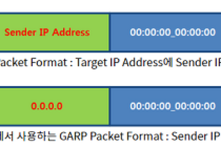 [TCP/IP] GARP - Gratuitous ARP