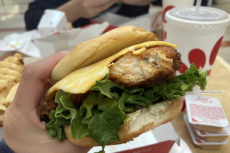 미국에서 맛있는 치킨버거 찾기 : McDonald / KFC / Chick-Fil-A 🐔🥪