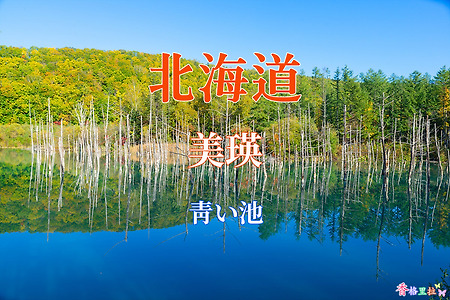 2019 홋카이도(北海道) 가을 단풍여행, 비에이(美瑛) 아오이이케(靑い池)