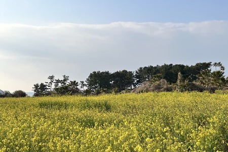 [온수다 소식지24호] 봄을 맞이하는 온다의 자세