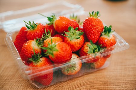 평택 고덕 딸기체험팜 : 즐거운 딸기 수확 체험!