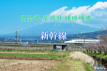 2019 벚꽃과 후지산 테마여행 - 신간센(新幹線)과 후지산(富士山)