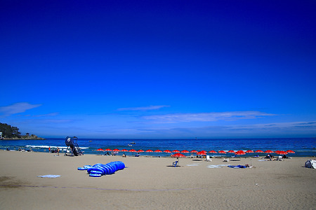 여름 바다 (송정해수욕장. 2022.07.04.월)