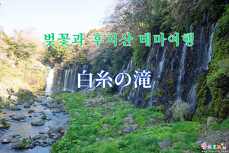 2019 벚꽃과 후지산 테마여행 - 시라이토노다키(白糸の滝)