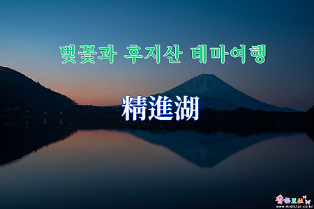 2019 벚꽃과 후지산 테마여행 - 쇼지고(精進湖) 일출