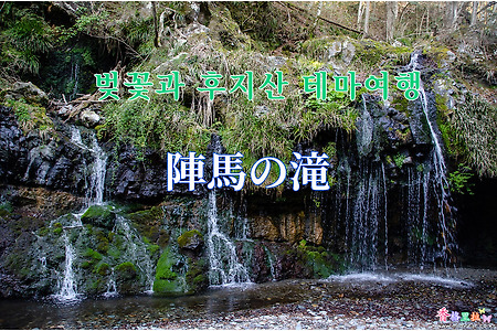2019 벚꽃과 후지산 테마여행 - 진바노다끼(陣馬の滝)
