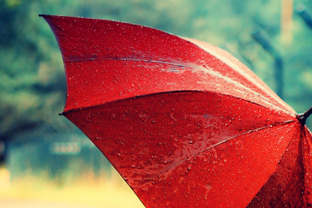 우산 꿈해몽 28가지.