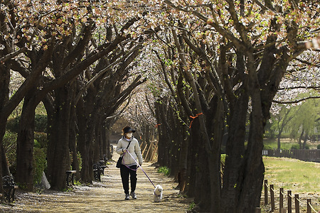 산책 (시흥갯골생태공원. 2023.04.12.수)