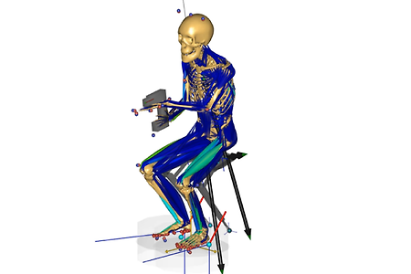 Chairless Exoskeleton Simulation