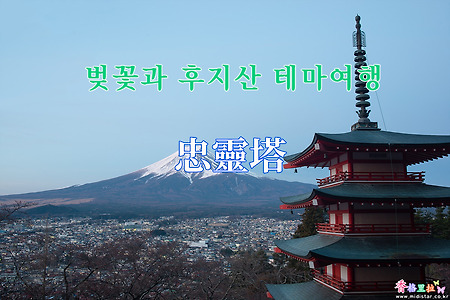 2019 벚꽃과 후지산 테마여행 - 츄레이토(忠靈塔) 벚꽃