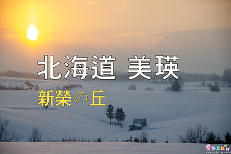 2023년 일본 홋카이도 여행 5 / 비에이(美瑛) 신에이 언덕(新榮の丘)