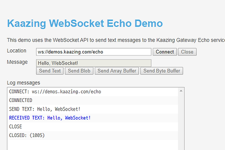 [Tech] Websocket - 웹소켓 demo site