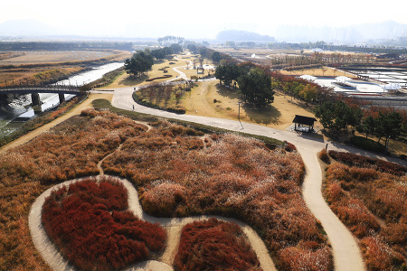 삶의 길 (시흥갯골생태공원. 2020.10.28.수)