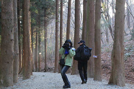 사진을 담는 사람들... (대한다원. 순천만자연생태공원. 2011.03.05.토)