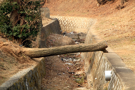 통나무 다리 (원적산공원. 2011.03.19.토)