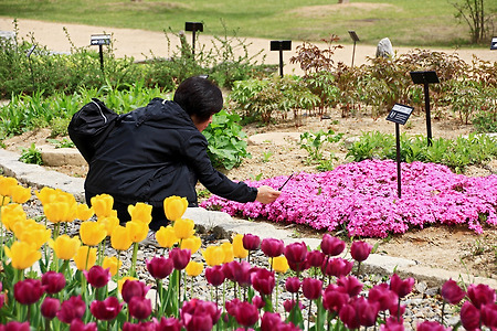 꽃과 생명과 사람들 (인천환경공단청라사업소. 2012.04.29.일)