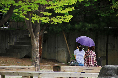 공원의 쉼 (선유도공원. 2012.05.01.수)