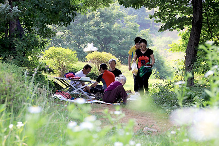 노모의 봄 나들이 (수리산. 2011.06.12.일)