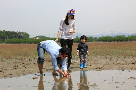 소래습지생태공원의 가족들 (2011.05.22.일)