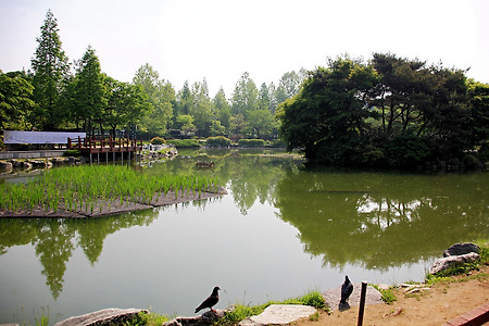 용담근린공원 (2012.05.19.토)
