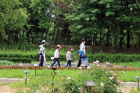 꽃과 숲과 사람들... (인천환경공단청라사업소. 2011.06.06.월)