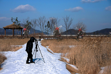 소래습지생태공원의 겨울 (2011.01.29.토)