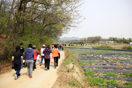 부곡동민한마음걷기대회 (2012.04.28.토)