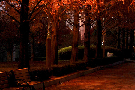 가을 저녁의 빈자리 (일산호수공원. 2011.11.19.토)