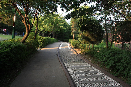 계양공원 (2010.06.08. 화)
