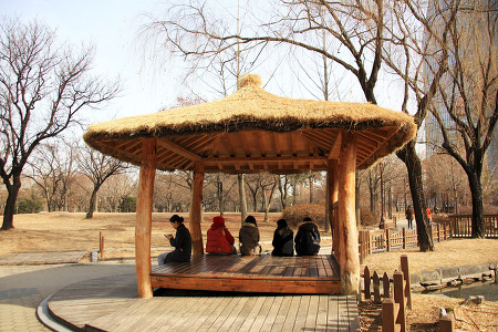 도시 공원의 사람들 (여의도공원. 2014.01.29.수)
