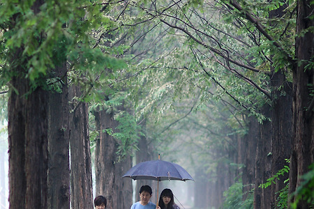 가족의 산책길 (하늘공원. 2013.08.10.토)