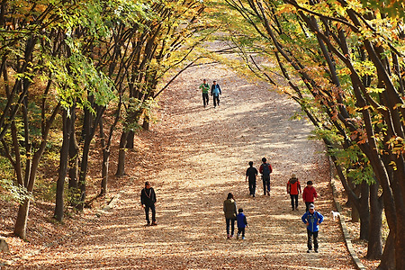 가을 산책 (계양산산림욕장. 2014.11.09.일)
