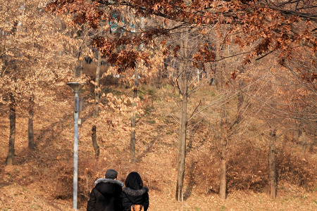 공원과 사람들 (서울숲. 2013.12.25.수)