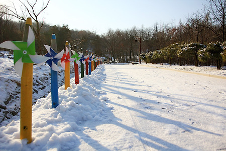 나비공원의 겨울 (2013.12.14.토)