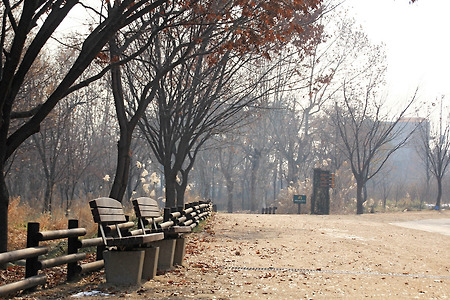 서울숲 (2013.12.25.수)