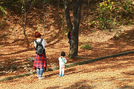 가을빛 가족들 (계양산산림욕장. 2015.10.25.일)