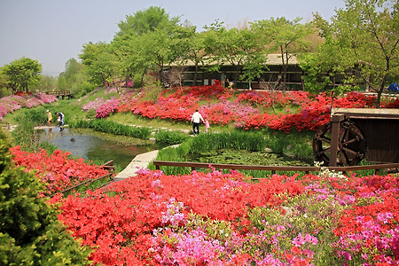 꽃세상 (의왕시자연학습공원. 2013.05.11.토)
