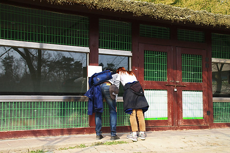 관심 (의왕시자연학습공원. 2015.03.29.일)