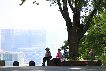 남산 (2015.06.21.일)