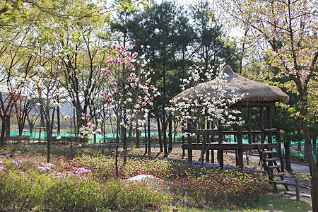 인천대공원 (2013.05.01.수)