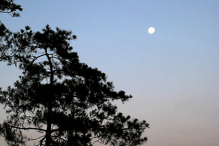 새벽달 (청라중앙호수공원. 2014.11.09.일)