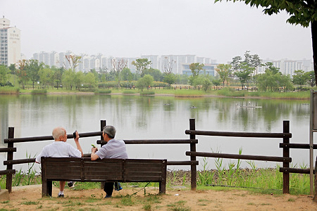공원과 사람들 (상동호수공원. 2014.07.20.일)