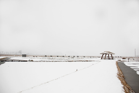 관곡지의 겨울 (2013.12.14.토)