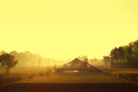 [GRD3] 시골의 아침 @ 미얀마