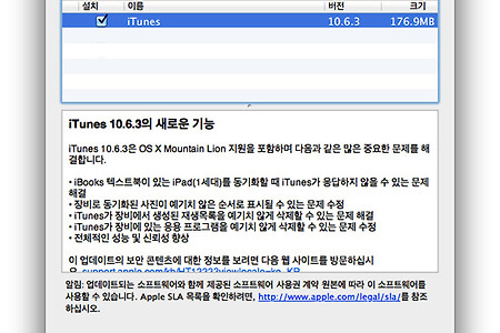 아이튠즈 10.6.3 업데이트 - iTunes 10.6.3 마운틴라이언 지원  업데이트