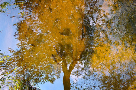 [DP2M] 가을은 강물에도...
