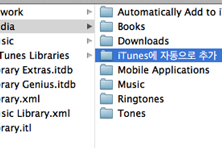 맥(Mac)/윈도우 아이튠즈(iTunes)에 자동으로 추가 기능
