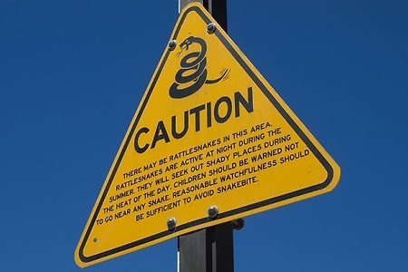 [미국 야생동물] 5. 치치치 칙칙 가까이 오지 말란 말야! – 미리 경고하는 방울뱀