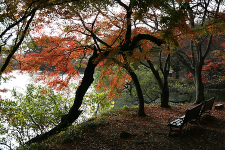 2015. 가을. 내수면공원